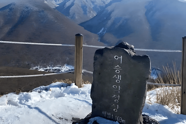 Jeju: Winter SouthWest Tangerine Pick, Snow, Camellia, Tour
