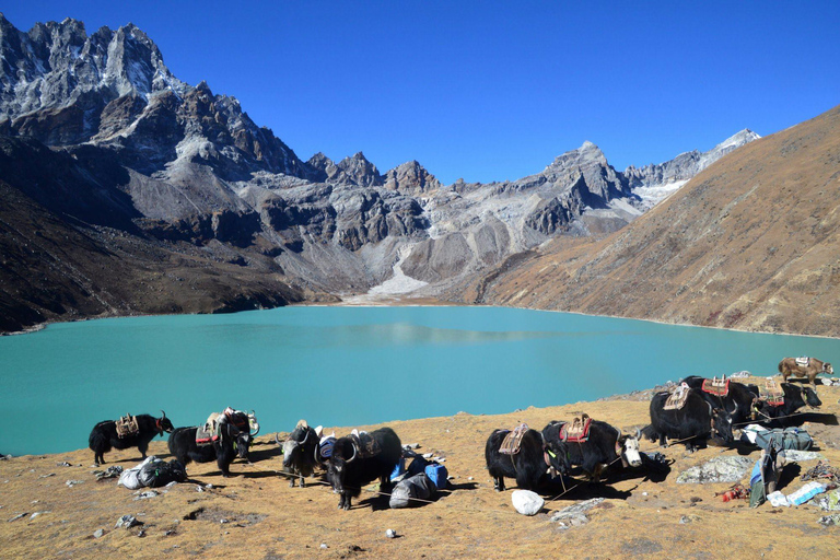 Best Hike to Gokyo Lake Trek