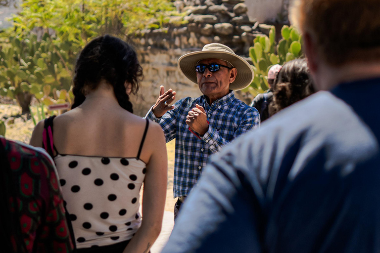 Oaxaca: Traditional Tlacolula Bread, Hierve el Agua, and Mezcal
