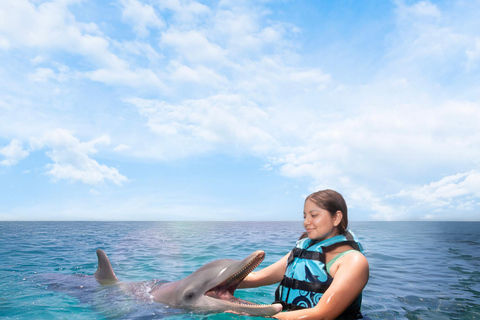 Cancun: dolfijnen en Garrafon Reef Park met buffet