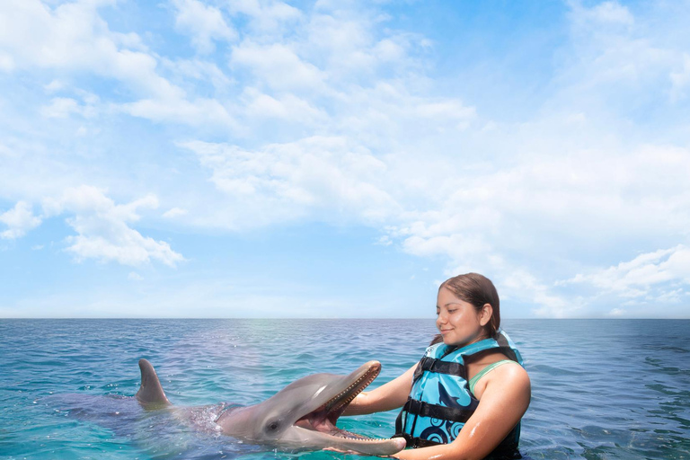 Cancun: dolfijnen en Garrafon Reef Park met buffet