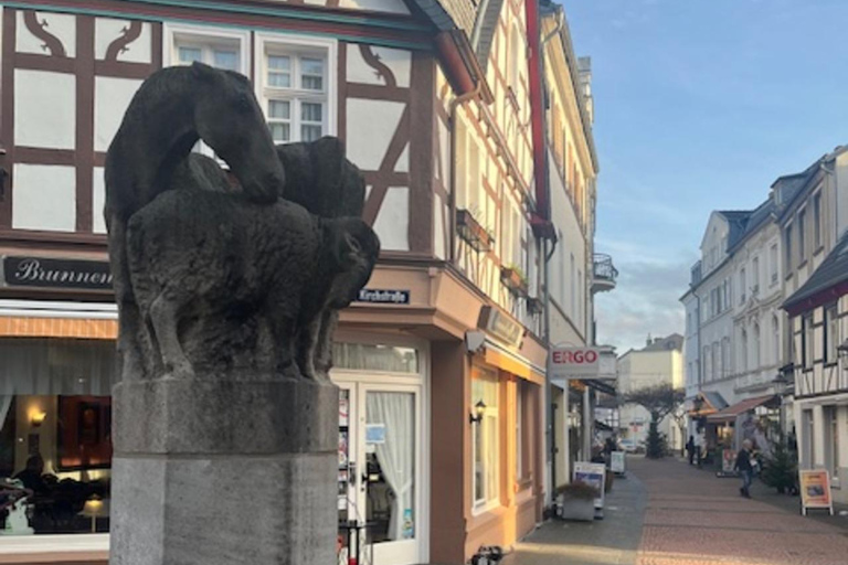 Cologne: Bad Honnef & Linz on the Rhine Day Trip