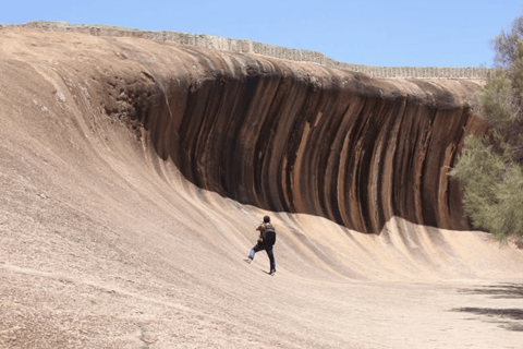 Perth: Wave Rock Scenic Flight and Half-Day Ground Tour
