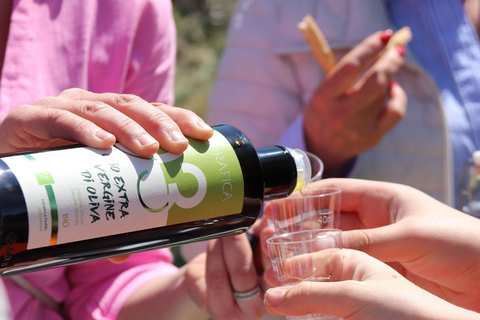 尼科洛西橄榄油品尝体验