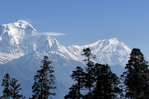 Annapurna View: Short trek to Poonhill-From PokharaAnnapurna View: Short trek to Poonhill