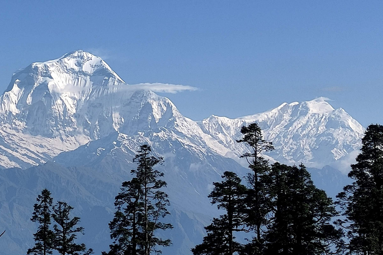 Annapurna View: Short trek to Poonhill-From PokharaAnnapurna View: Short trek to Poonhill