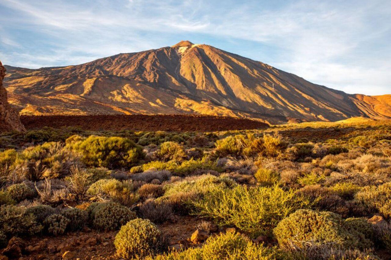 Tenerife: Excursión guiada en quad todoterreno por el TeideQuad para dos personas