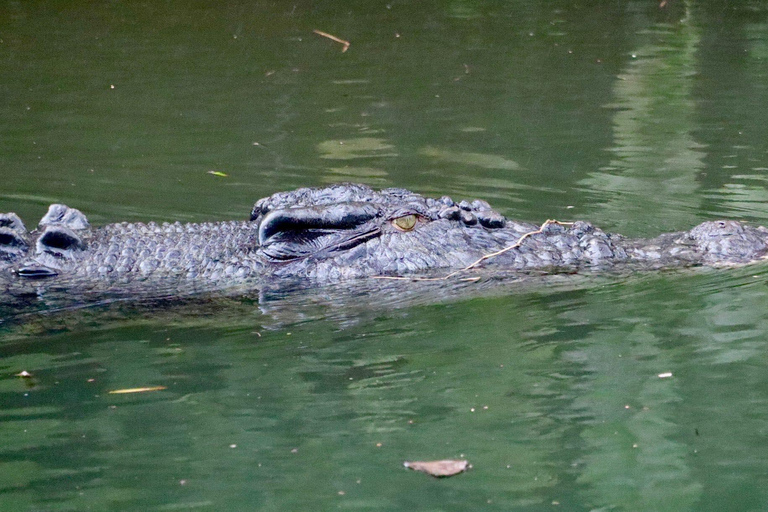 Cairns: 2-Day Atherton Tablelands & Cape Tribulation Tour