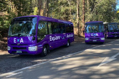 Puffing Billy, Healesville Sanctuary & Chocolatier