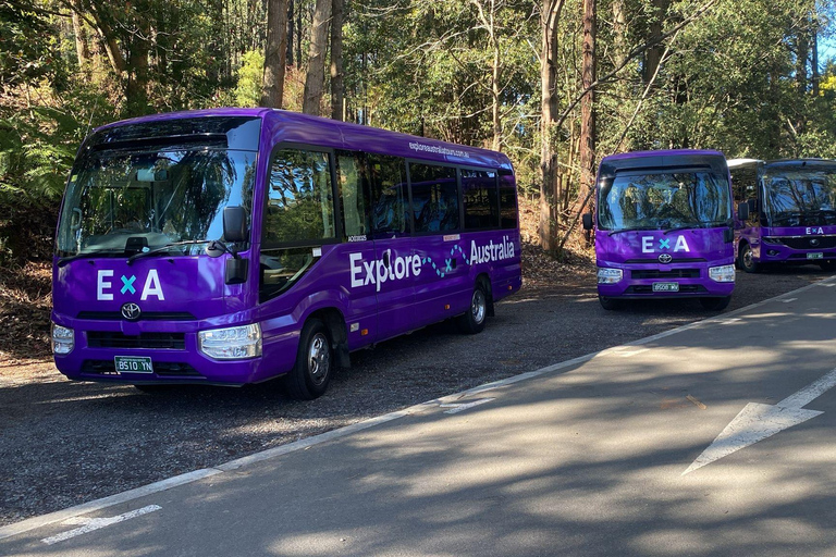 Puffing Billy, Healesville Sanctuary & Chocolatier