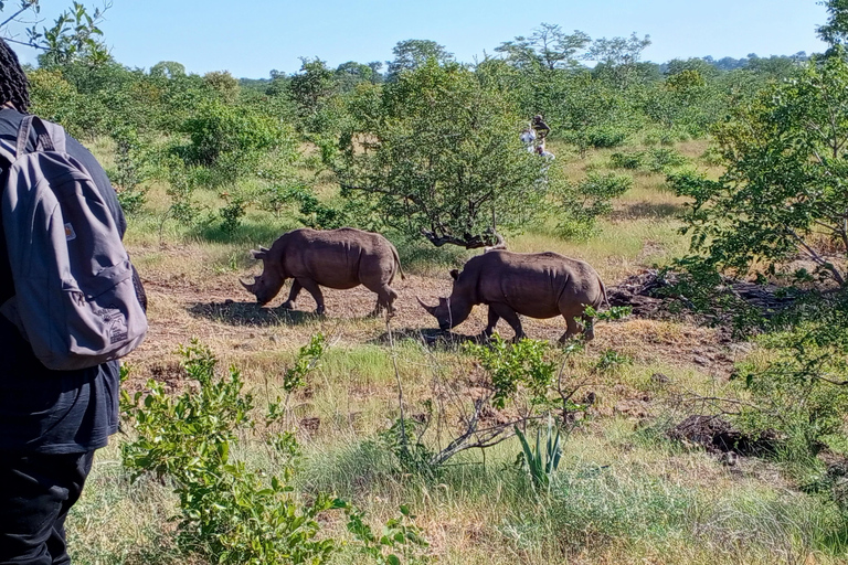 Mosi Oa Tunya Game drive
