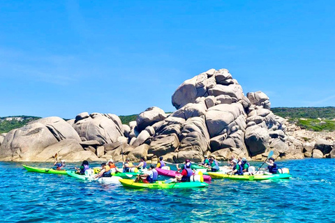 Bonifacio: Kayak tour and swim in the nature reserve up to the cliffs   Bonifacio: Kayak tour and swim in the reserve up to the cliffs  