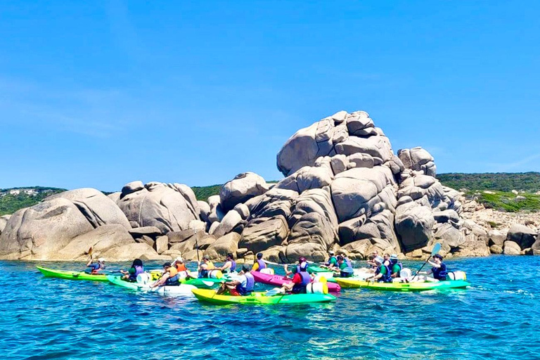 Bonifacio: Kayak tour and swim in the nature reserve up to the cliffs   Bonifacio: Kayak tour and swim in the reserve up to the cliffs  