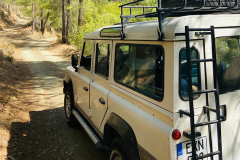 From Paphos: Troodos 4x4 Safari with Picnic & Winery visit