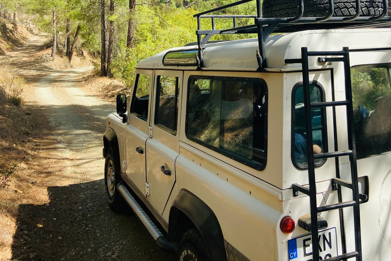 From Paphos: Troodos 4x4 Safari with Picnic & Winery visit