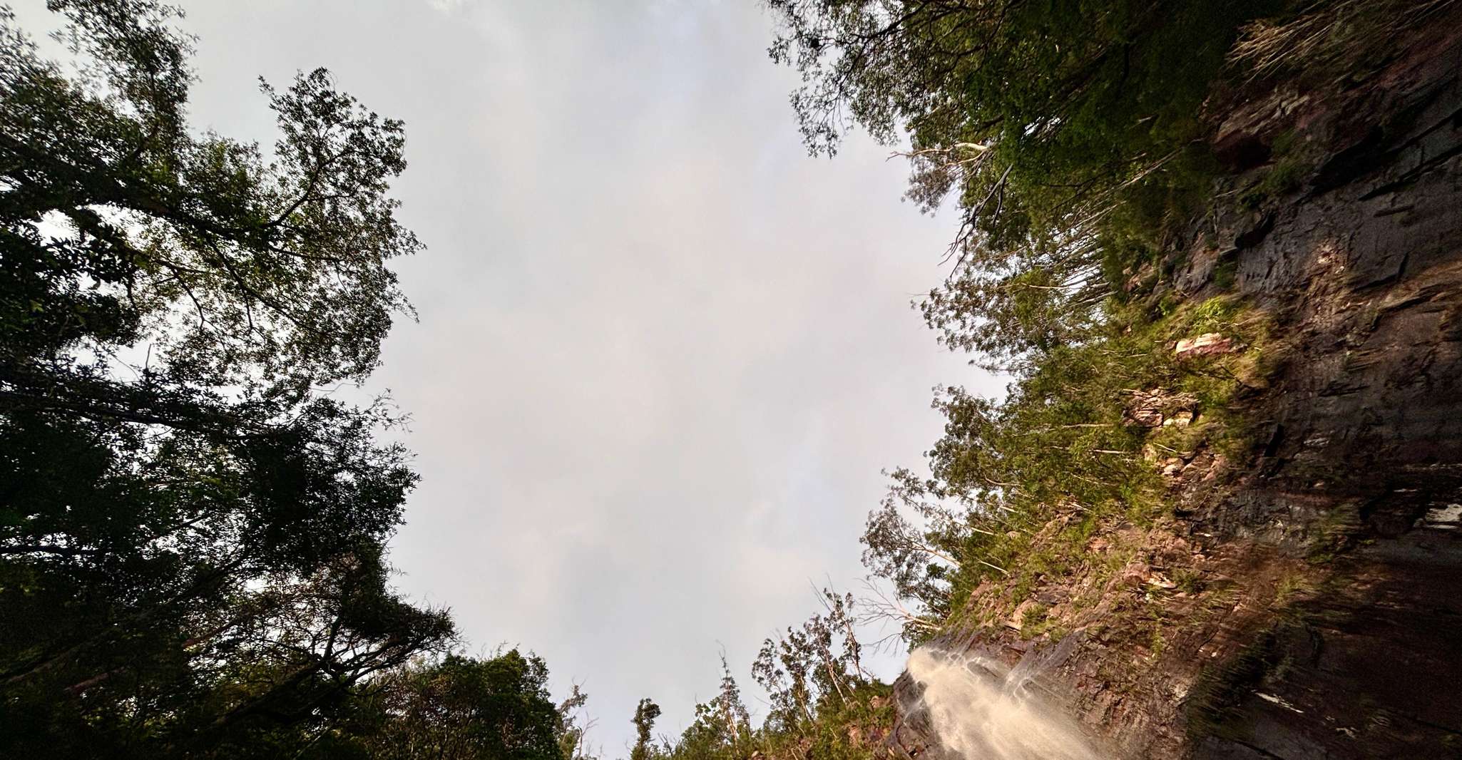 Byron Bay: Glowworms, Waterfalls & Rainforest Experience photo 14