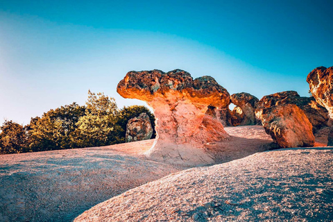 Plovdiv: Perperikon, Villa Armira, and Rock Mushrooms Tour