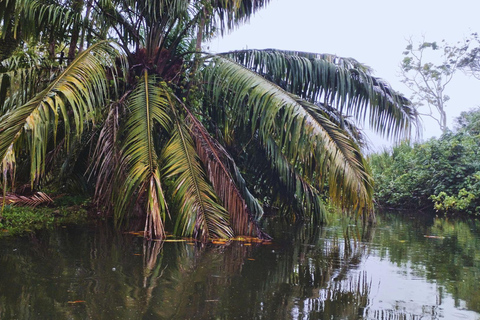 Private Kayaking Adventure: a 2-hour Wildlife Escape Self-Guided Kayaking Adventure: a 2-hour Wildlife Escape