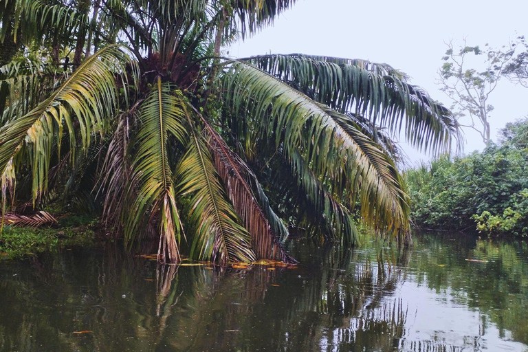 Private Kayaking Adventure: a 2-hour Wildlife Escape Self-Guided Kayaking Adventure: a 2-hour Wildlife Escape