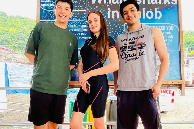 Oslob: Whale Shark Snorkeling Experience