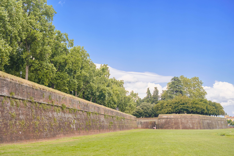 Da Montecatini: tour di un giorno di Pisa e LuccaTour in spagnolo