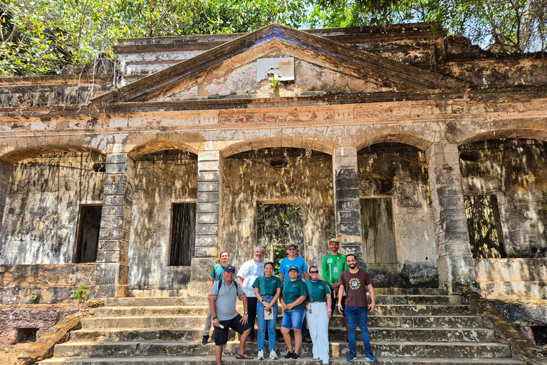 Original Açaí Experience and Visit to the Ruins of Paricatuba in Amazonas