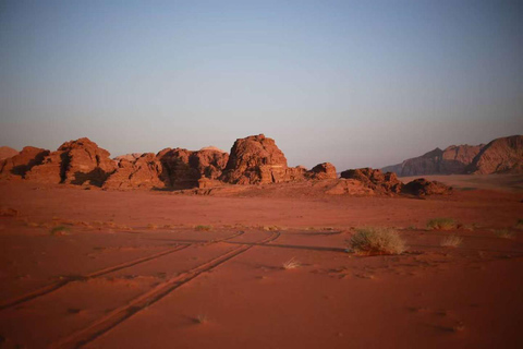 Wadi Rum Full-Day Jeep Tour: Lunch, Sunset & Hidden Gems