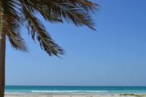 "Discover Salalah: Eastern Delights"