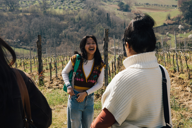 Florencia: experiencia en Pisa, Siena, San Gimignano y ChiantiTour privado con guía, almuerzo, cata de vinos y traslados