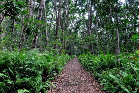 桑给巴尔：乔扎尼森林与香料农场之旅，含茶饮及接送服务桑给巴尔：乔扎尼森林与香料农场游，含茶饮及接送服务