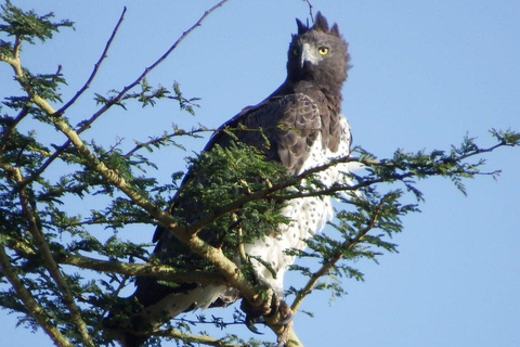 Nairobi:2 Day Hells Gate, Lake Naivasha & Lake Nakuru Safari