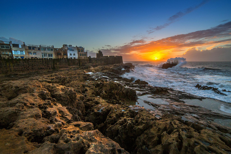 Agadir: Day Trip to Essaouira with Medina & Beach Time