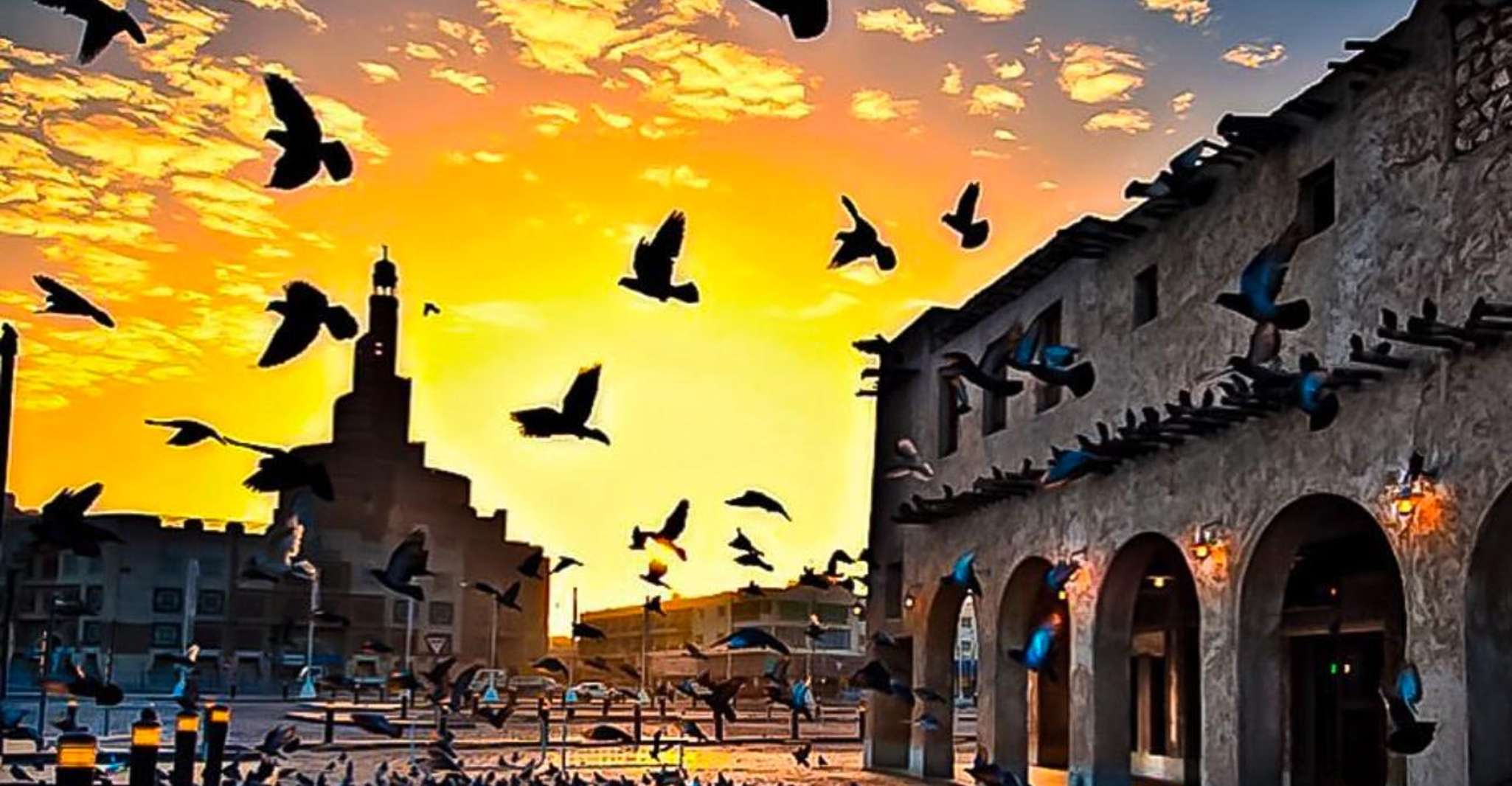 Doha: Guided City Tour with Hotel or Airport Transfer photo 4