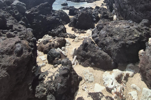 Discover 3 legendary beaches on Réunion in less than 3 hours Discover 3 iconic Réunion beaches in less than 3 hours