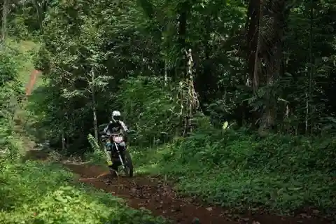 Passeio de um dia na selva em motocicleta