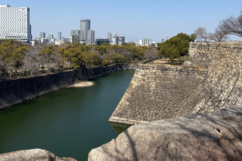Osaka: Private Full-Day Tour with English-Speaking Driver
