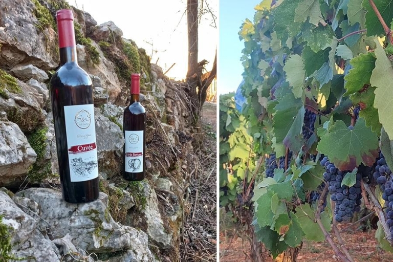 Ohrid - Wine Tasting Experience at S&S Winery Ohrid - Wine Tasting Experience an S&S Winery