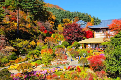 Seoul: Seoraksan & Nami island & Korean Garden Tour [Winter wonder] Seoraksan+Nami island+ Eobi Ice Valley