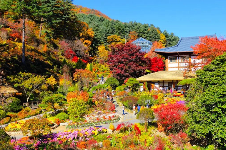 Seoul: Seoraksan & Nami island & Korean Garden Tour [Winter wonder] Seoraksan+Nami island+ Eobi Ice Valley