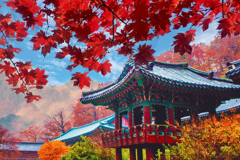 Naejangsan Autumn Foliage Day Tour from Seoul and Busan Group tour, departure from Haeundae Station Exit 5 (Busan)