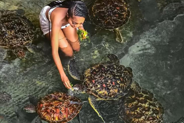 Zanzibar: Jozani Forest, Salam cave & The rock restaurant.