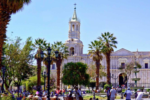 Tour del Canyon del Colca di 2 giorni da Arequipa con 1 notte a Colca