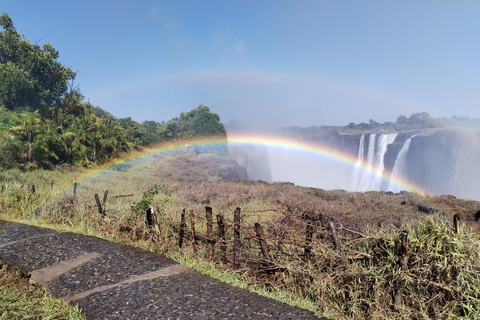 Victoria Falls: Guided tour by local guides Private tour in English