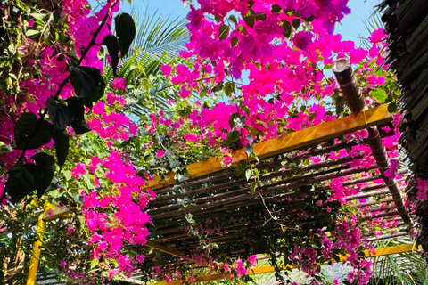 Da Nang: Tour delle Montagne di Marmo, di Hoi An e della Foresta di Cocco