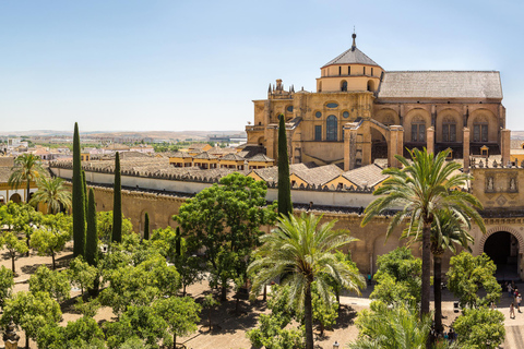 Desde Madrid: Lo mejor de Córdoba en un día en trenLo mejor de Córdoba desde Madrid en un día