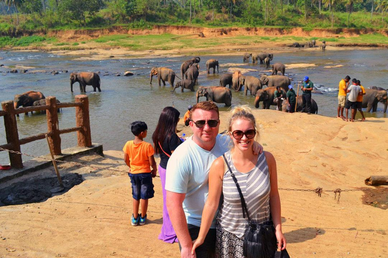 Kandy : Pinnawala Tuk Tuk Tagestour ( Private Tour )Abholung mit dem Minivan