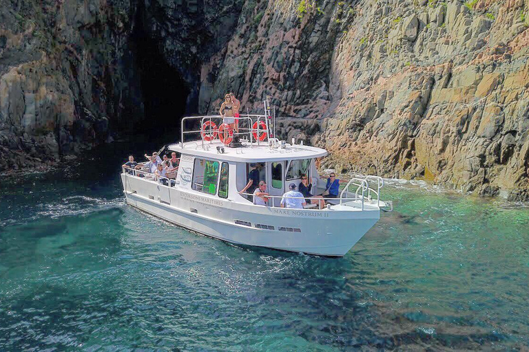 Scandola: visite de la réserve naturelle au départ de Porto (France)