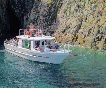 Scandola: Besuch des Naturreservats von Porto aus (Frankreich)