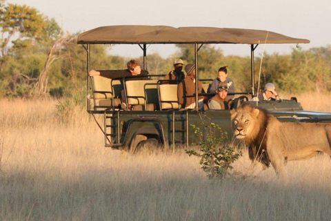 Johannesburg: 4-Day Kruger National Park and Blyde River …