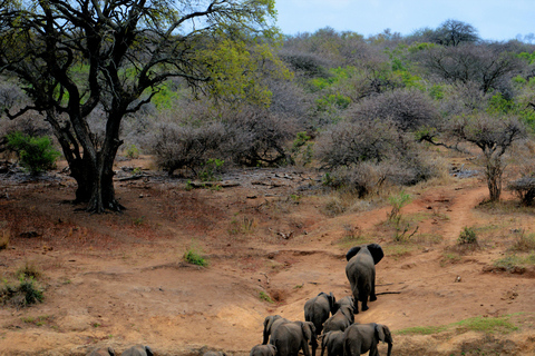 Arusha: 3-Day Safari to Ngorongoro and Serengeti